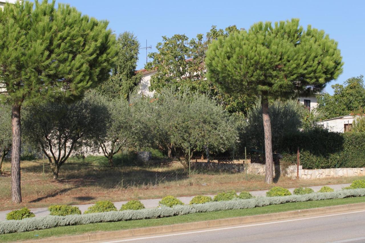 Apartments And Rooms With Parking Space Rovinj - 7170 Exterior photo